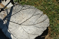 iHanna Bird Bath